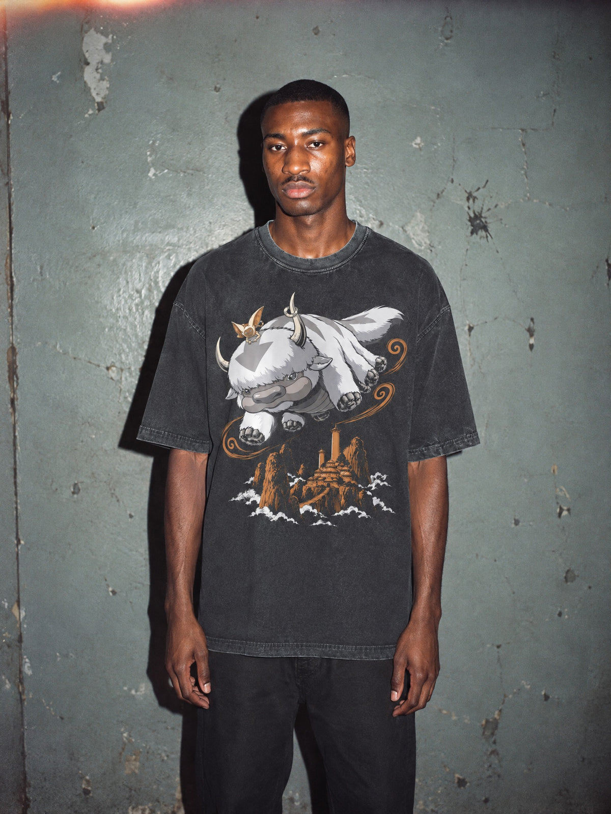OTH ✦ Sky Bison Voyage Vintage Tee by Torazen, worn on model